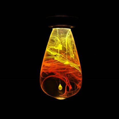 Illuminate Your Space with EP LIGHT - 3-Pack Premium LED Bulbs